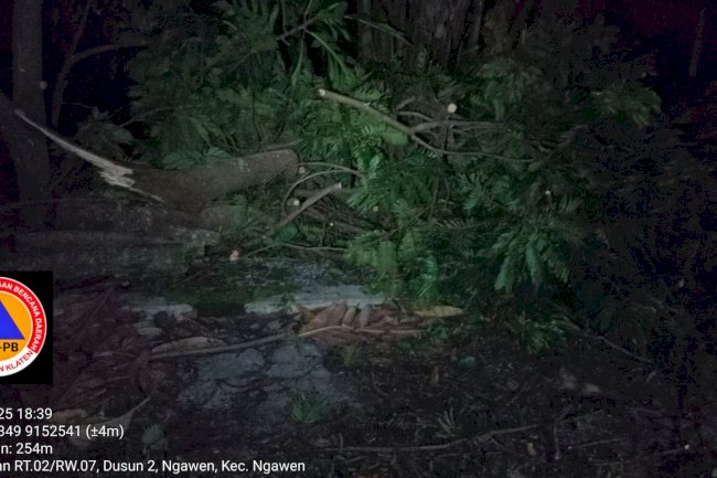 Pohon Tumbang Karena Lapuk Menimpa Teras Rumah Warga di Desa Ngawen, Kecamatan Ngawen