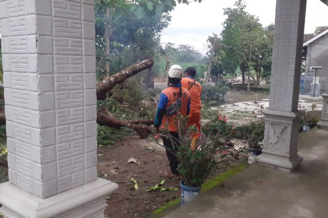 Hujan Deras Disertai Angin Kencang di Kecamatan Tulung, 2 Desa Terdampak