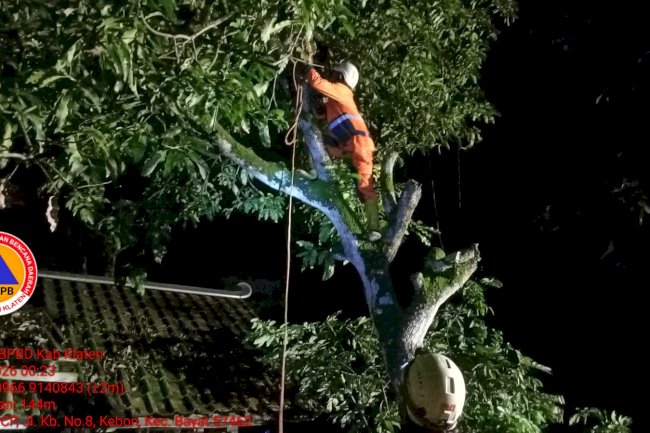 Penanganan Pohon Tumbang di Tiga Desa, Kecamatan Bayat. Akibat Hujan dengan Intensitas Lebat Disertai Angin Kencang