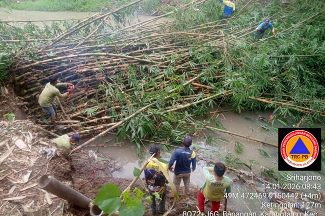 Gotong Royong Pembersihan Rumpun Bambu Roboh di Desa Karangtalun, Kecamatan Karangdowo