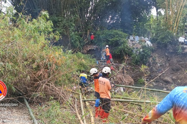 Eksekusi Rumpun Bambu Roboh ke Aliran Sungai Cino di Desa Jatipuro, Kecamatan Trucuk