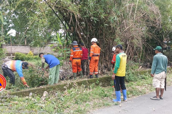 Semangat Gotong Royong, Bersihkan Sampah dan Rumpun Bambu di Desa Gombang, Kecamatan Cawas