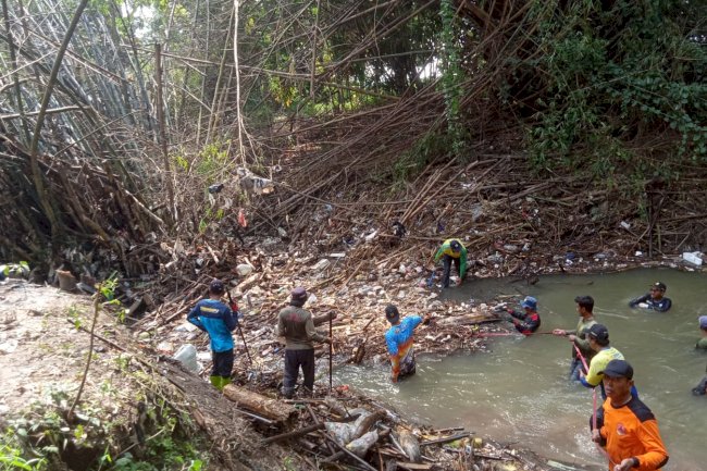 Pembersihan Rumpun Bambu Roboh ke Sungai Blora di Desa Gondangsari, Kecamatan Juwiring