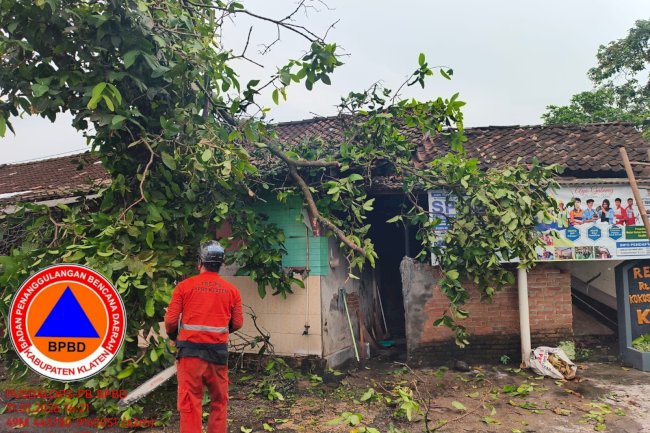Penanganan Pohon Tumbang Menimpa Rumah di Desa Kokosan, Kecamatan Prambanan