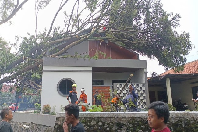 Penanganan Pohon Tumbang Menimpa Rumah dan Menutup Akses Jalan di Desa Tijayan, Kecamatan Manisrenggo