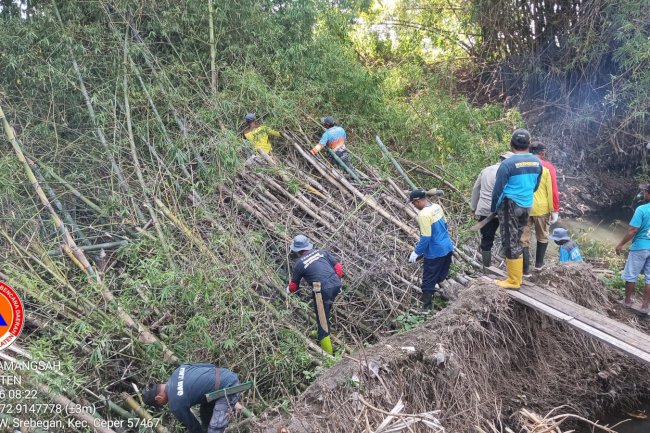 Gotong Royong Pembersihan Rumpun Bambu di Kali Cino, Desa Mireng, Kecamatan Trucuk