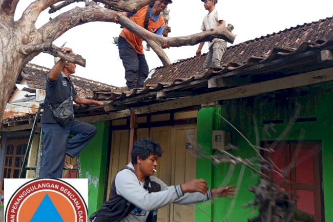 Kegiatan Pengurangan Risiko Bencana : Pemangkasan Pohon Kering di Desa Ketandan, Klaten Utara