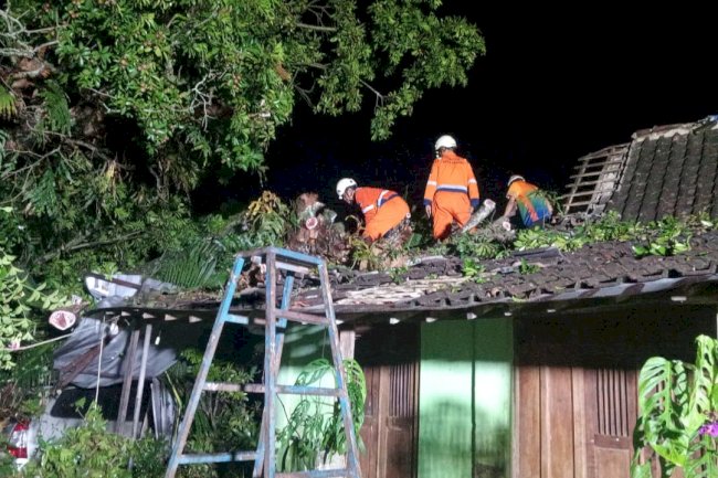 Respon Cepat Dampak Angin Kencang di Kecamatan Delanggu dan Polanharjo