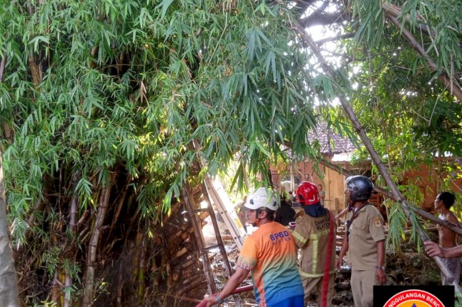 Respon Kebakaran Rumpun Bambu di Puluhan, Kecamatan Trucuk