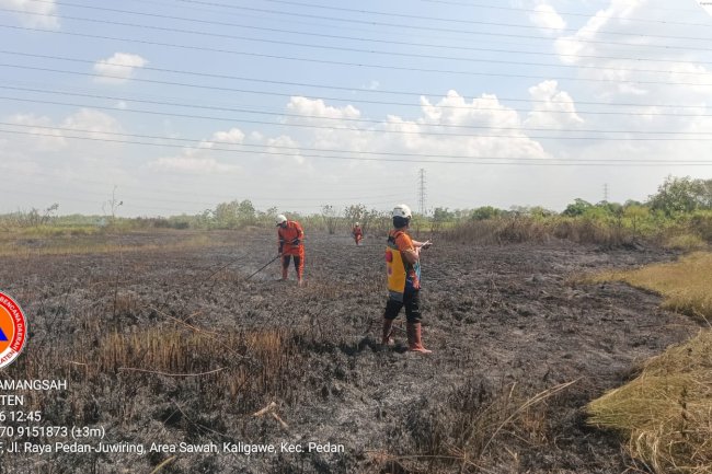 Kebakaran Lahan seluas 3Ha di Desa Kaligawe, Kecamatan Pedan
