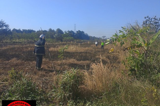 Kebakaran Lahan seluas 2,1 Ha di Desa Lemah Ireng, Kecamatan Pedan Akibat Pembakaran Sampah Yang Tidak Terkontrol