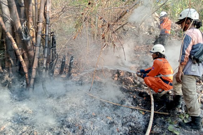 Kebakaran Rumpun Bambu dan Lahan 2.500 m² di Desa Krakitan, Kecamatan Bayat