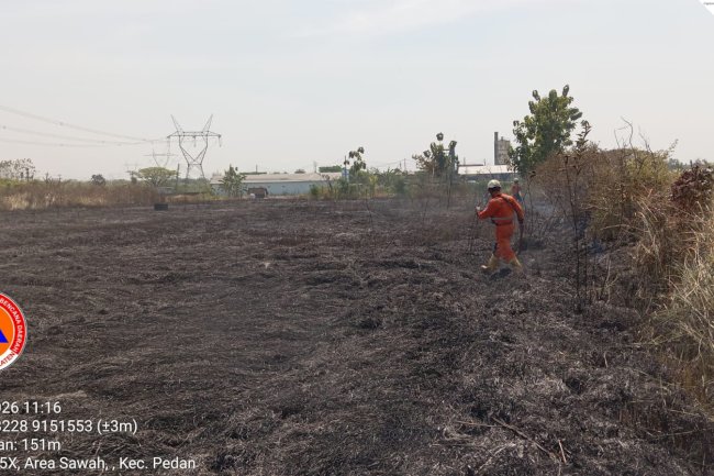 Kebakaran Lahan seluas ± 1.000 m² di Desa Kaligawe, Kecamatan Pedan