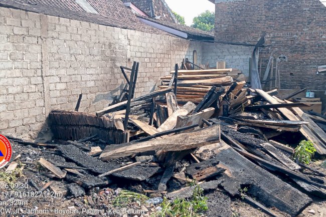 Pembakaran Sampah Tidak Terkontrol Sebabkan Tempat Usaha Penggergajian Kayu Terbakar