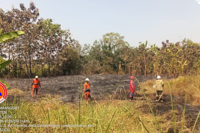 Kebakaran Lahan seluas ± 5.000 M² di Desa Sidodadi, Kecamatan Wonosari