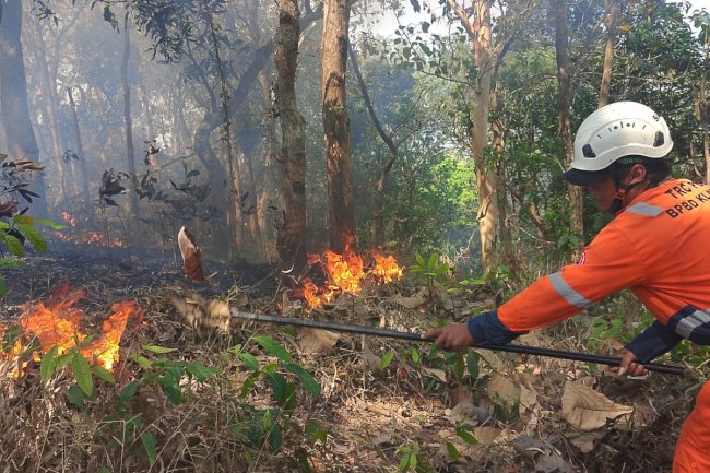 Respon kebakaran Hutan Petak 93 A Gunung Kuncen, Desa Krakitan, Kecamatan Bayat