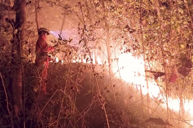 Kebakaran Hutan di Bukit Temugiring, Desa Melikan, Kecamatan Wedi