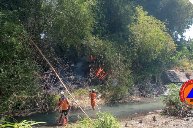 Kebakaran Rumpun Bambu di Desa Ceper dan Desa Ngawonggo, Kecamatan Ceper. 