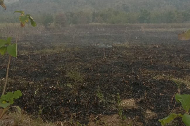 Kebakaran Lahan seluas ± 4 Ha di Desa Kadilanggon, Kecamatan Wedi