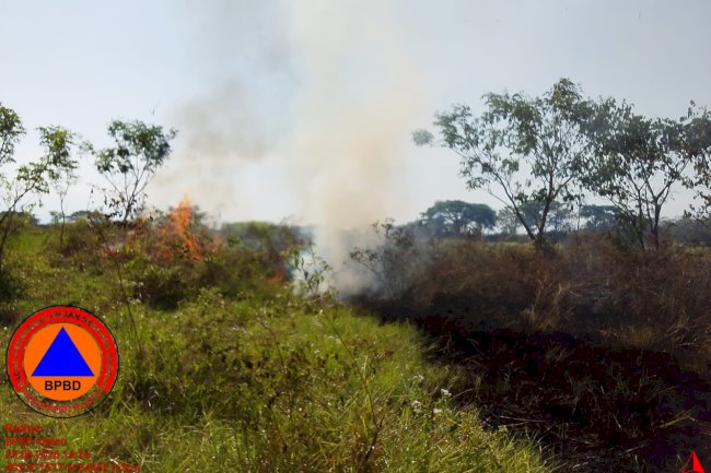 Kebakaran Lahan seluas 10.000 m² di Desa Kwarasan, Kecamatan Juwiring