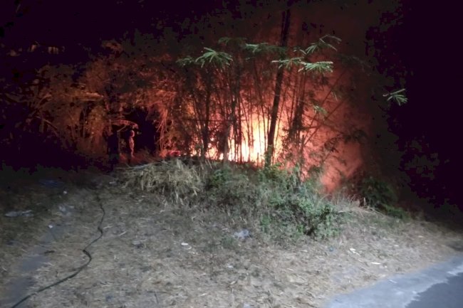 Pembakaran Sampah Tidak Terkontrol, Rumpun Bambu Terbakar seluas 100 m² di Desa Ngandong, Kecamatan Gantiwarno