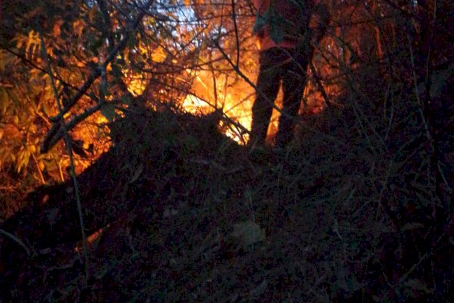 Karhutla Petak 94G Bukit Jabalakat, Desa Paseban, Kecamatan Bayat