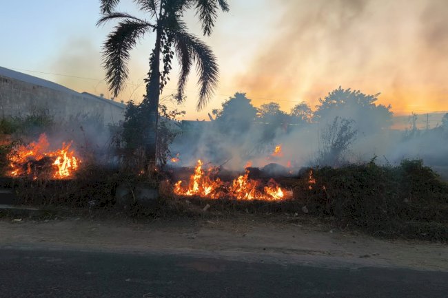 Kebakaran Lahan di Desa Trunuh, Kecamatan Klaten Selatan