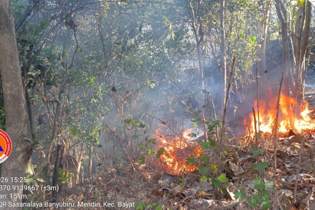 Karhutla Petak 94G Bukit Jabalkat di Desa Paseban, Kecamatan Bayat