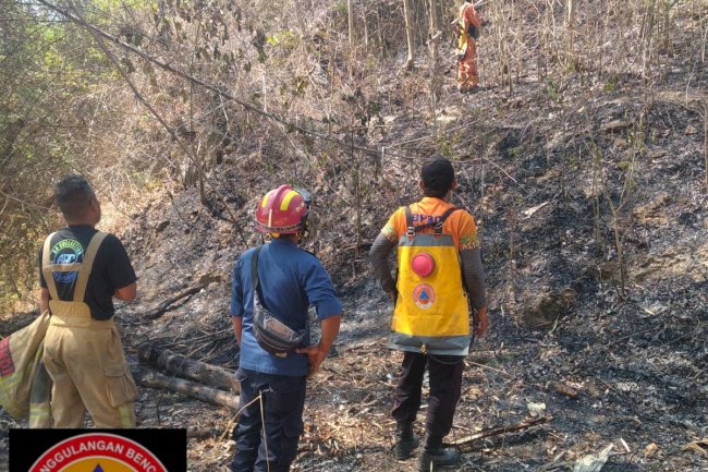 Kebakaran Lahan seluas 100 m² di Desa Krakitan, Kecamatan Bayat