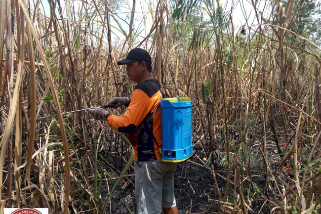 Kebakaran Lahan seluas 2 Ha di Desa Sudimoro, Kecamatan Tulung