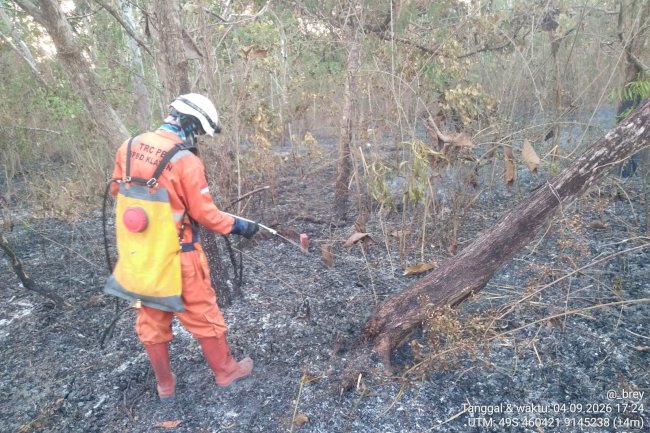 Kebakarana Lahan seluas 2.000 m² di Desa Karangpakel, Kecamatan Trucuk