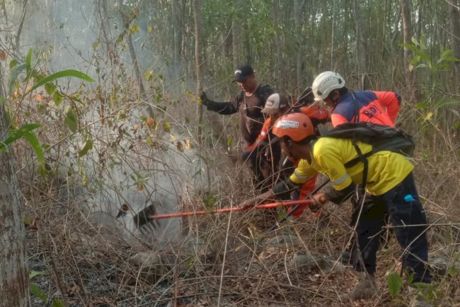 Kebakaran Hutan seluas 20.000 m² di Kawasan Hutan Negara Pangkuan Talang  Desa Talang, Kecamatan Bayat 