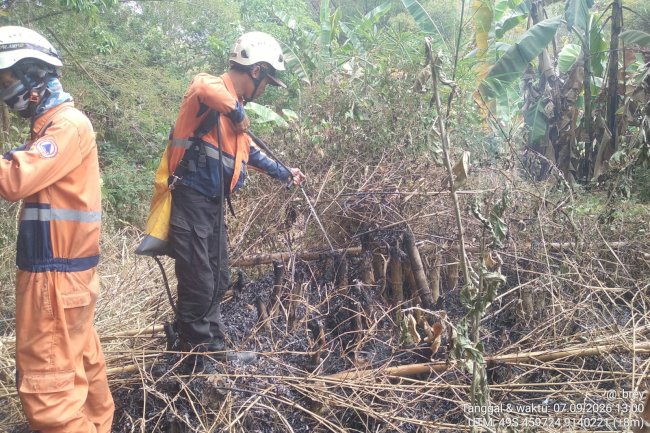 Kebakaran Lahan luasan ± 500 m² di Desa Paseban, Kecamatan Bayat
