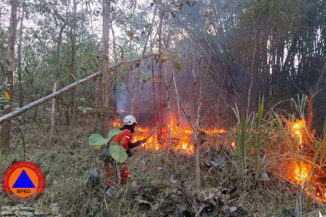 Kebakaran Hutan seluas yang terbakar ± 13.6 Ha di Area Bukit Gunungsari, Desa Jotangan, Kecamatan Bayat