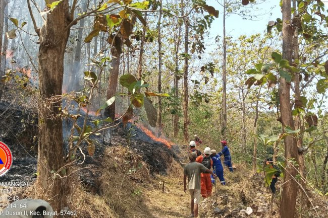 Kebakaran Hutan seluas yang terbakar ± 40.000 M² di Bukit Brumbung (Petak 93), Desa Krakitan, Kecamatan Bayat