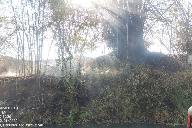 Kebakaran Rumpun Bambu luasan terbakar ± 733 m² di Bantaran Kali Ujung Desa Gadungan, Kecamatan Wedi