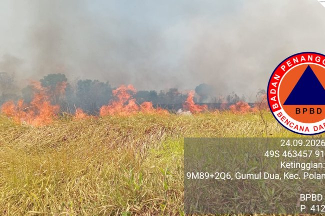 Kebakaran Lahan dengan Luasan ± 10.000 m² di Kahuman, Kecamatan Polanharjo