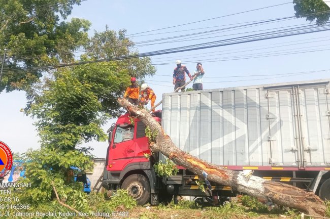 Pohon Tumbang tersangkut Bak Truk di Jl Jatinom - Boyolali, Desa Sorogaten, Kecamatan Tulung