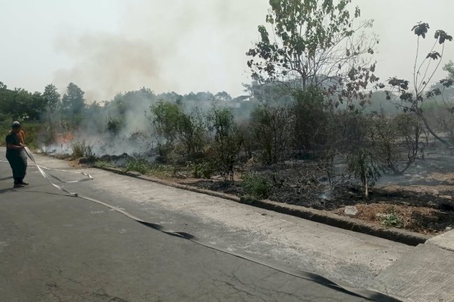 Kebakaran Lahan seluas yang terbakar 900 M2 di Desa Jombor, Kecamatan Ceper