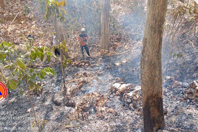 Kebakaran Hutan dengan luasan ±1.500 m² di Desa Krikilan, Kecamatan Bayat