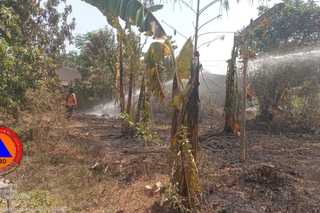 Kebakaran Lahan dan Rumpun Bambu luas terbakar 75 M2 di Desa Mundu, Kecamatan Tulung