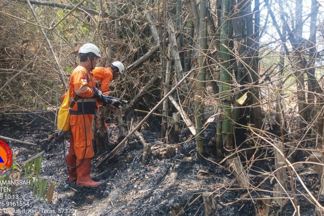 Kebakaran Rumpun Bambu seluas yang terbakar 110 m² di Desa Wunut, Kecamatan Tulung
