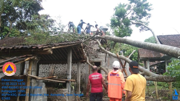 Hujan dengan Intensitas Lebat disertai angin Kencang sebabkan Pohon Tumbang Menimpa Rumah Warga di desa Keputran kecamatan Kemalang