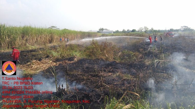 Bakar Sampah, Lahan Tebu Milik Warga di Kraguman Jogonalan Terbakar