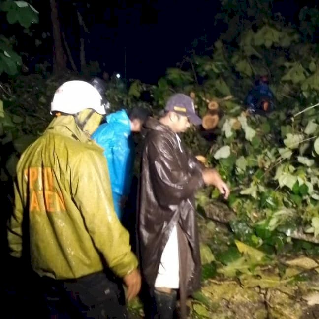 Cuaca Ekstrim Mengakibatkan Pohon Tumbang di beberapa Wilayah Kabupaten Klaten