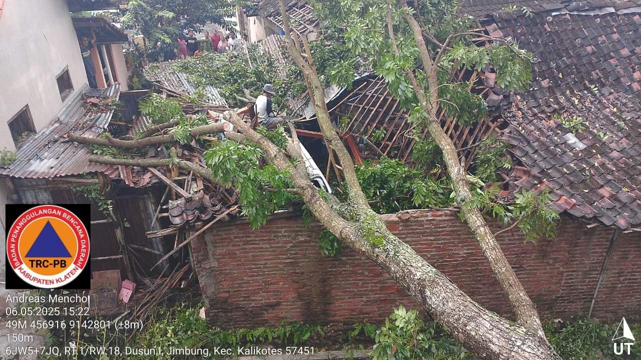 Penanganan Pohon Tumbang Menimpa Garasi di Kadibolo, Wedi