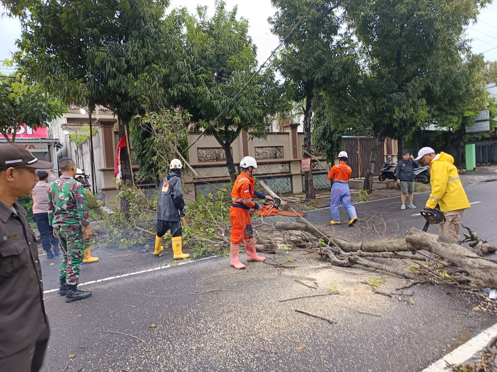 Penanganan Pohon Tumbang Menutup Akses Jalan Kopral Sayom - Karanganom, Klaten Utara
