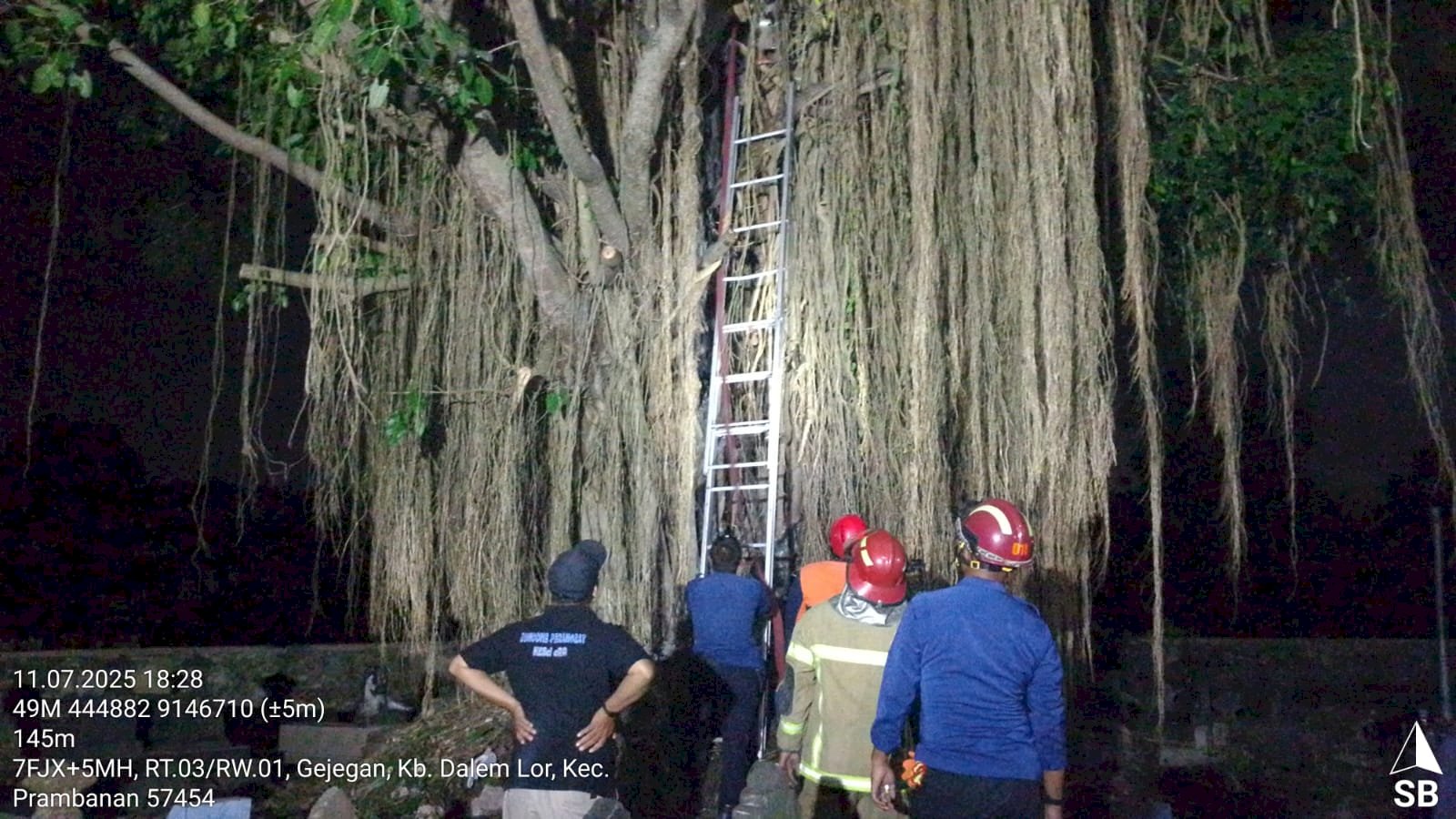 Penanganan Kebakaran Pohon Beringin Besar di Desa Kebondalem Lor, Kecamatan Prambanan