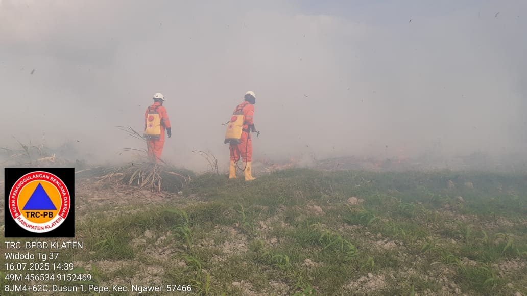 Kebakaran Lahan Tebu Seluas 500m² di Persawahan Timur Desa Pepe, Kecamatan Ngawen