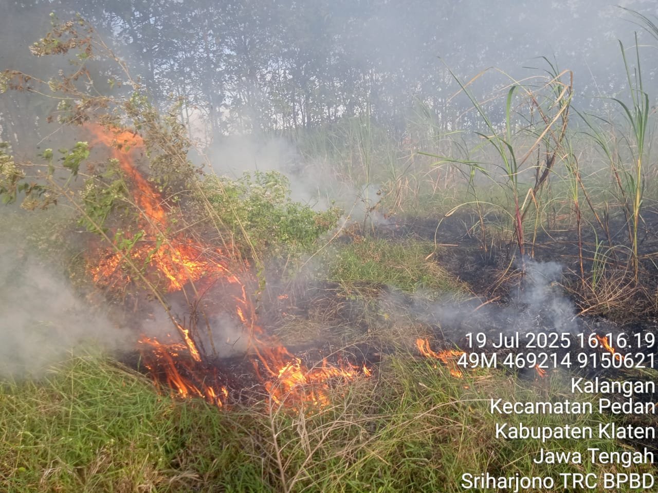 Kebakaran Lahan Tebu Seluas 6000m² di Desa Kalangan, Kecamatan Pedan